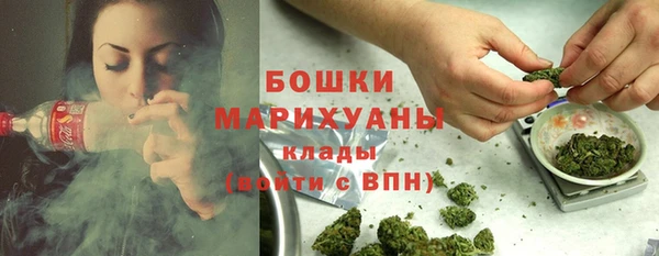 ешки Аркадак
