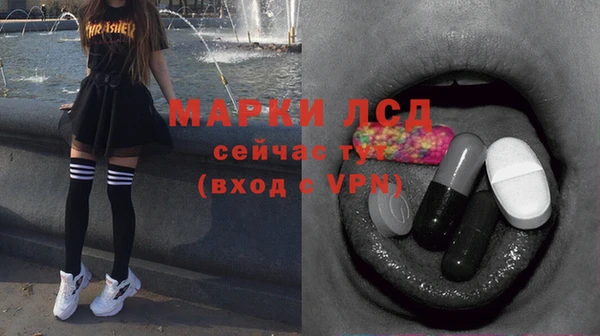 СК Арсеньев