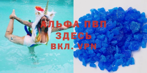 ешки Аркадак