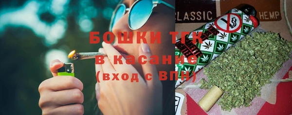 ешки Аркадак