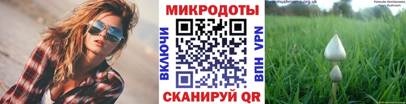 Галлюциногенные грибы MAGIC MUSHROOMS  магазин    Курчалой 