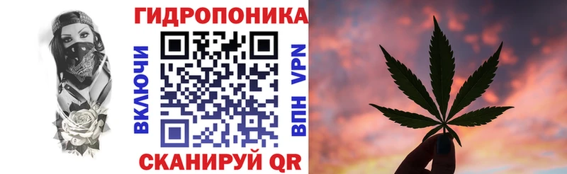 Конопля индика  где продают   блэк спрут маркетплейс  Курчалой 